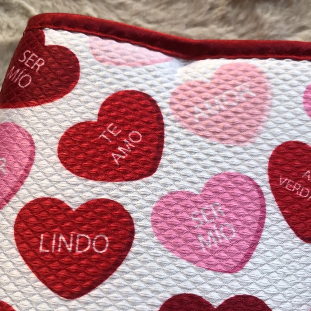 Cuisinart Red and Pink Conversation Heart Valentine Dish Drying Mats
